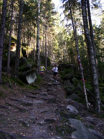 Vytvo�eno: 24. z��� 2005 17:00:58 