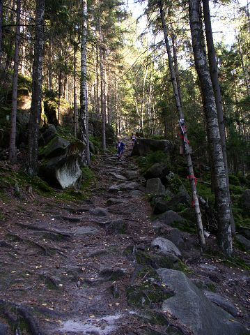 Vytvo�eno: 24. z��� 2005 17:02:31 
