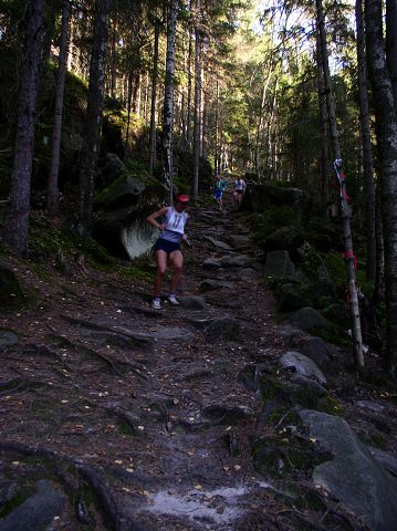 Vytvo�eno: 24. z��� 2005 17:05:39 