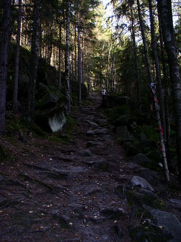 Vytvo�eno: 24. z��� 2005 17:09:43 